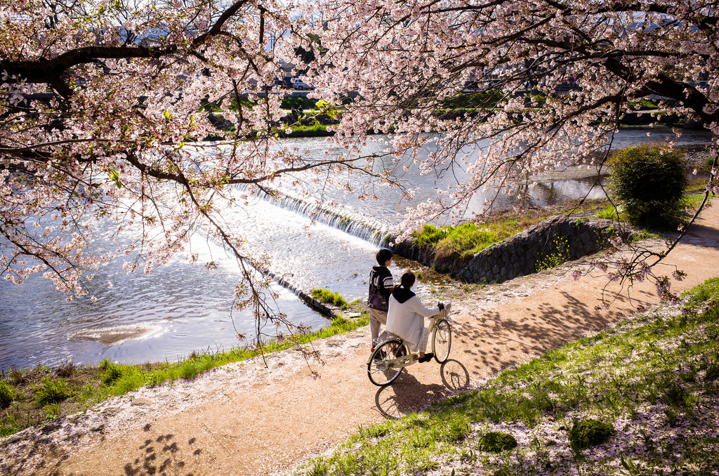 internship in kyoto 01