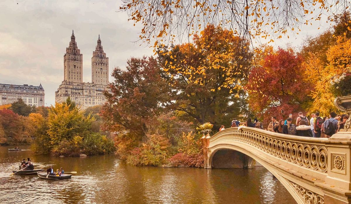 Fall is coming! For students looking to gain professional experience before graduation, a fall internship can be a great opportunity. It allows you to gain real-world experience in a professional environment while preparing yourself for your future career.