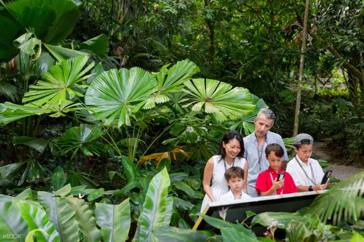 Tropical Spice Garden