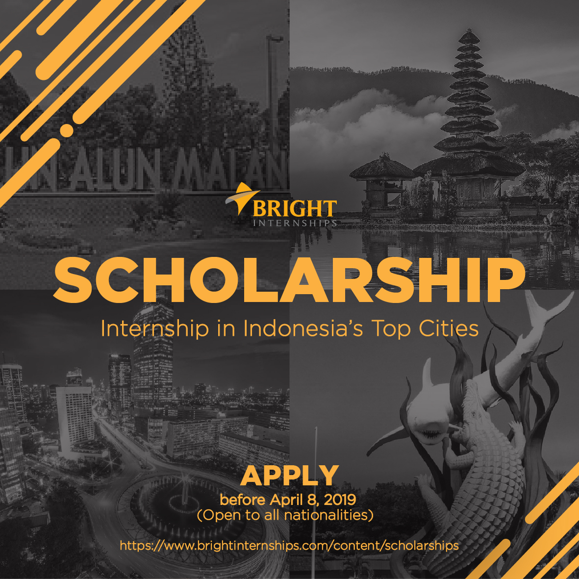 Bright Internships Scholarship Program