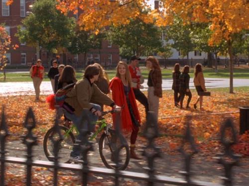 8 Things You Can Do in Your Free Time During a Fall Internship!
