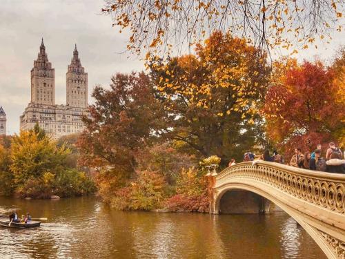 Fall is coming! For students looking to gain professional experience before graduation, a fall internship can be a great opportunity. It allows you to gain real-world experience in a professional environment while preparing yourself for your future career.