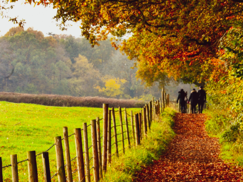 Autumn in the United Kingdom